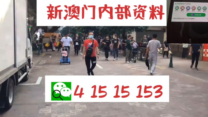 揭秘77778888管家婆老家必中之謎，一網(wǎng)打盡的背后故事，揭秘77778888管家婆，老家必中之謎的背后真相一網(wǎng)打盡