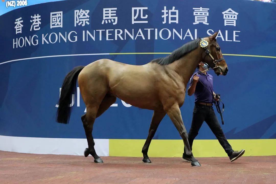 馬會香港新紀(jì)元，探索數(shù)字時代的無限可能 7777788888，馬會香港新紀(jì)元，數(shù)字時代的無限潛能探索