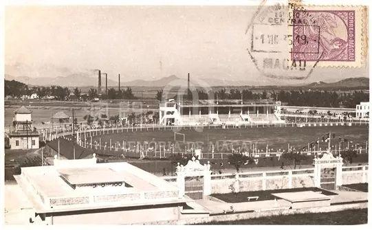 揭秘澳門跑狗圖，探尋精準(zhǔn)預(yù)測之秘，展望未來的跑狗新篇章，澳門跑狗圖揭秘，精準(zhǔn)預(yù)測之秘與未來展望