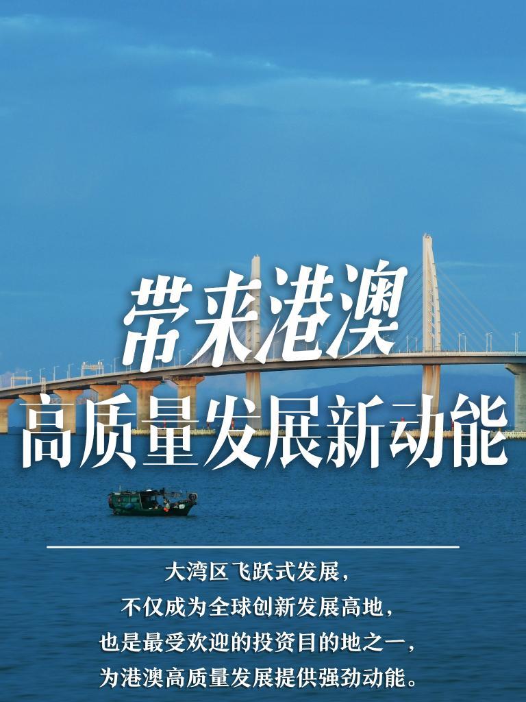 揭秘2025新澳門精準免費大全，揭秘2025新澳門精準免費大全資料全解析