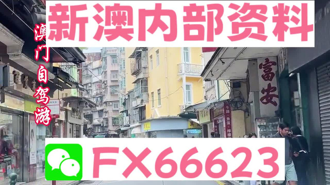 新澳精準(zhǔn)資料免費(fèi)提供，探索第208期的奧秘，新澳第208期精準(zhǔn)資料揭秘，探索奧秘與免費(fèi)分享