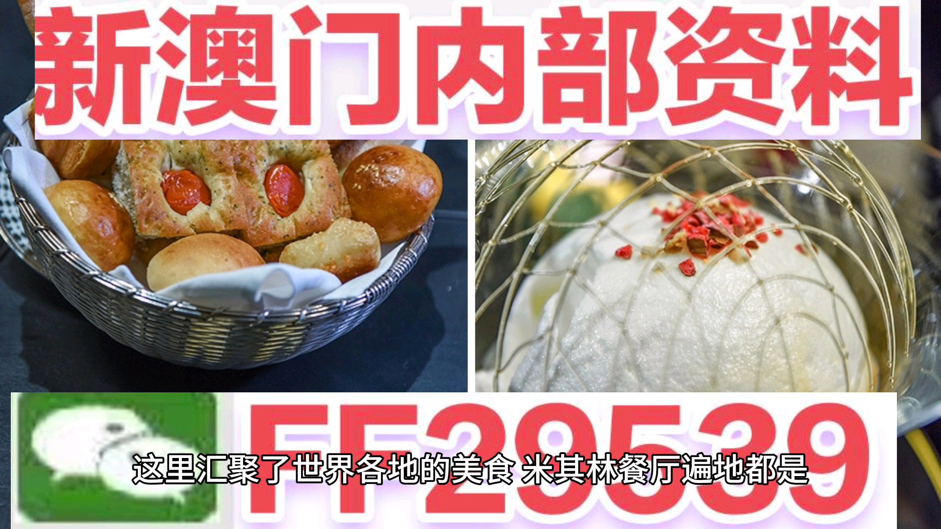 2025澳門特馬今晚開獎億彩網(wǎng)書肖在哪幾個，澳門特馬今晚開獎預測及書肖分析