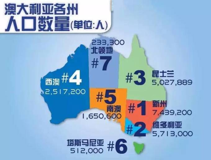 新澳2025年一肖一馬中特，新澳2025年一肖一馬中特預(yù)測(cè)與解析