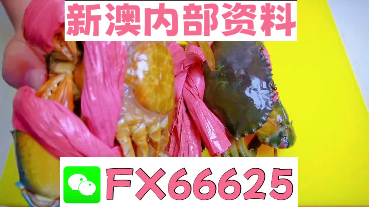 揭秘2025新澳精準(zhǔn)資料大全，深度解析與概述，揭秘2025新澳精準(zhǔn)資料大全，深度解析與全面概述