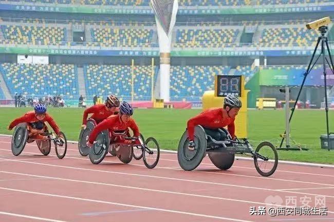 香港資料正版大全2025，專注于智能生態(tài)發(fā)展的前沿探索，香港資料正版大全2025，智能生態(tài)前沿探索的專注焦點(diǎn)