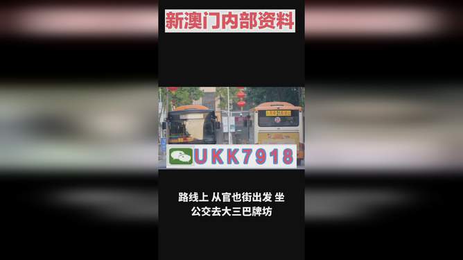 2025年澳門特馬今晚號碼——熱門話題下的理性探討，澳門特馬號碼預測，理性探討下的熱門話題