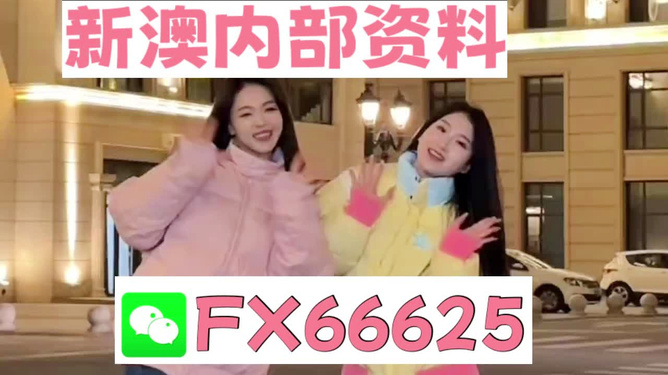 揭秘2025管家婆一碼一肖資料，深度解析與實用指南，揭秘2025管家婆一碼一肖資料，深度解析與實用指南手冊