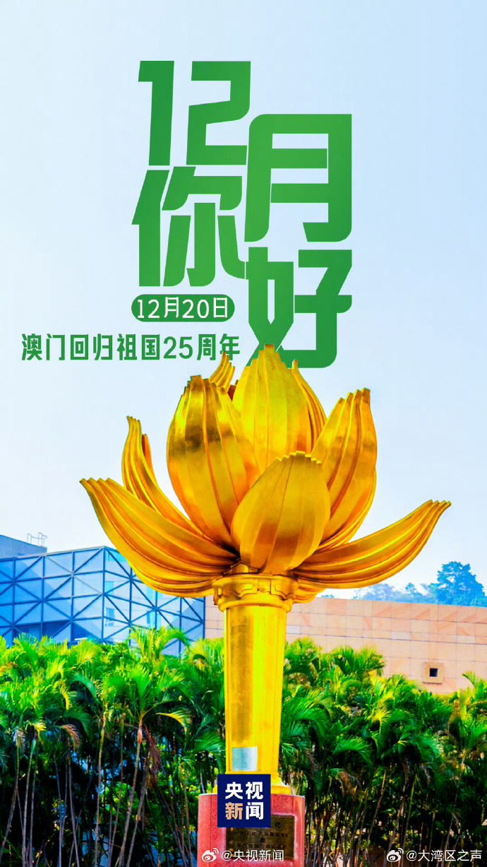 新澳門2025天天開好，未來繁榮的十大展望，澳門未來展望，繁榮發(fā)展的十大趨勢至2025年天天向好發(fā)展