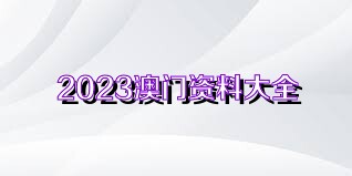 探索澳門，揭秘2025正版免費大全年資料，澳門探索之旅，揭秘2025正版大全年資料