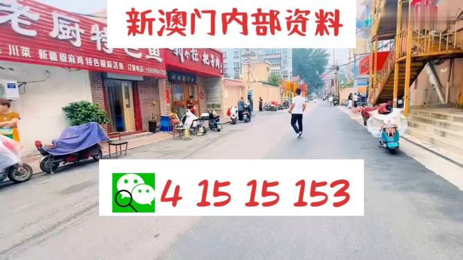 2025澳門天天開好彩正版大全——繁榮與希望的新篇章，澳門繁榮新篇章，天天開好彩正版大全開啟未來好運之旅