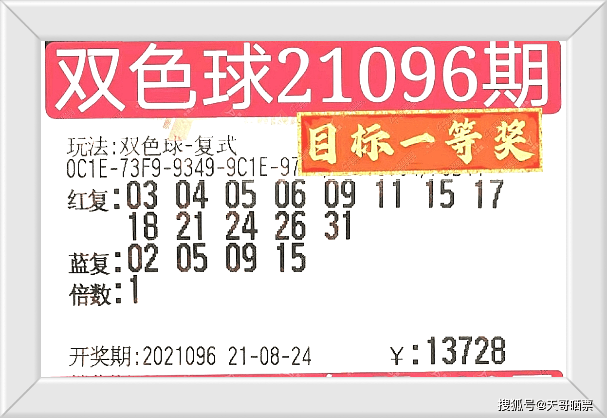 2025澳門特馬今晚開什么碼，澳門今晚特馬開碼結(jié)果預(yù)測分析