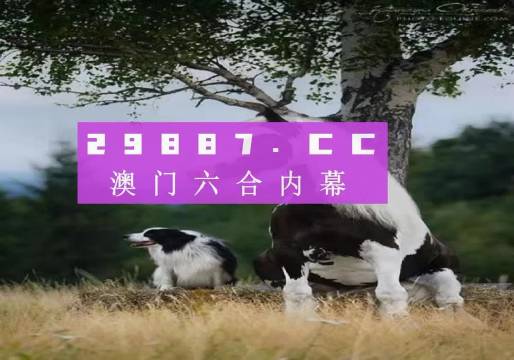 探索未來之門，2025今晚澳門跑狗圖揭秘，探索未來之門，揭秘澳門跑狗圖預(yù)測未來趨勢