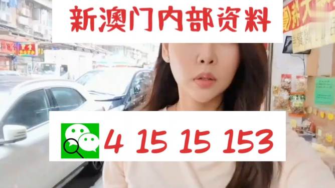 2004新澳門天天開好彩，揭秘澳門彩票，每日開獎背后的秘密