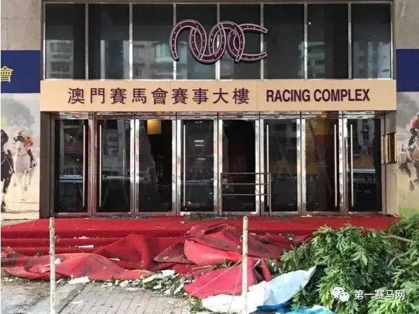 馬會傳真-澳門，馬會傳真澳門版最新資訊