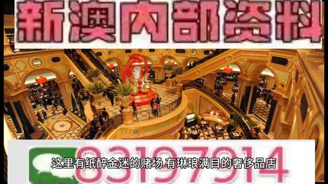 澳門特馬今晚，澳門特馬今晚開獎結(jié)果揭曉