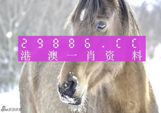 澳門一肖一碼100‰，澳門一肖一碼預(yù)測百分百準(zhǔn)確揭秘