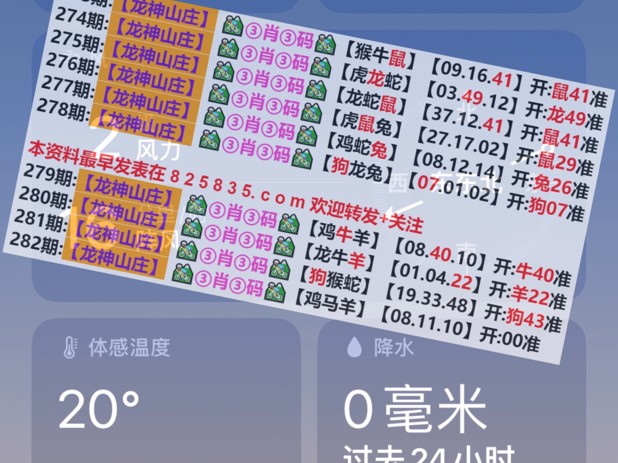 揭秘2024年澳門天天開好彩歷史記錄，揭秘澳門天天開好彩歷史記錄，2024年彩票背后的秘密
