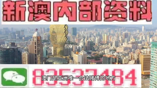 2025年澳門免費(fèi)資料精準(zhǔn)大全，澳門免費(fèi)資料精準(zhǔn)大全（2025版）