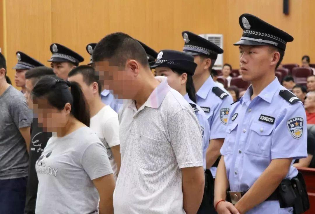 香港今晚出什么特馬，香港今晚特馬預(yù)測分析